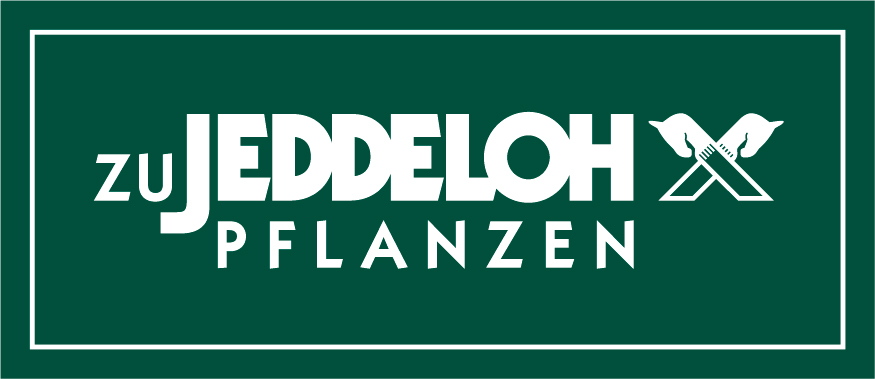 Zu Jeddeloh Pflanzen